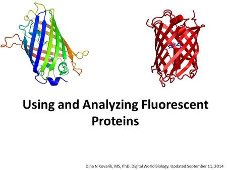 Using and Analyzing Fluorescent Proteins Dina N Kovarik, MS, PhD. Digital World Biology. Updated September 11, 2014.