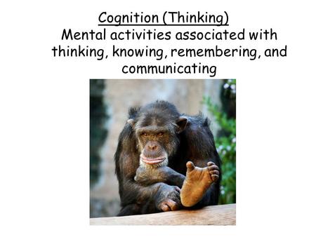 Cognition (Thinking) Mental activities associated with thinking, knowing, remembering, and communicating.