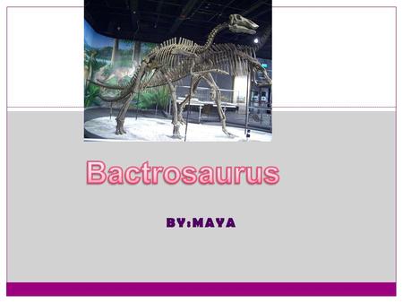 BY:MAYA The Dinosaur’s Body Weight: 1.5 tons Height: 4.5 ft 1.4 cm Interesting things about your dinosaur’s body: 1. My dinosaur can walk on two or four.