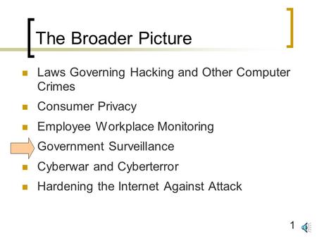 1 The Broader Picture Laws Governing Hacking and Other Computer Crimes Consumer Privacy Employee Workplace Monitoring Government Surveillance Cyberwar.