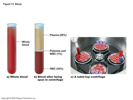 Copyright © 2009 Pearson Education, Inc. Figure 7.2 Blood.