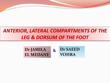 ANTERIOR, LATERAL COMPARTMENTS OF THE LEG & DORSUM OF THE FOOT Dr JAMILA EL MEDANY Dr SAEED VOHRA &