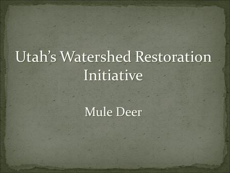 Utah’s Watershed Restoration Initiative Mule Deer.