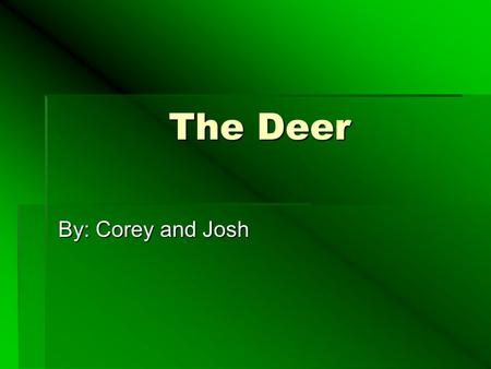 The Deer The Deer By: Corey and Josh. My Dads Deer  Last fall my dad shot a deer.  It was in his secret spot.  It weighed 190 pounds  It was an 8.