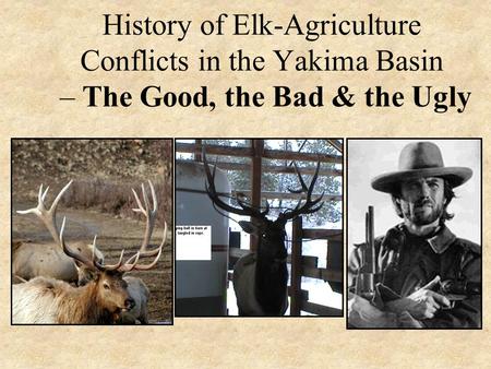 History of Elk-Agriculture Conflicts in the Yakima Basin – The Good, the Bad & the Ugly.