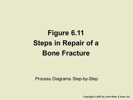 Figure 6.11 Steps in Repair of a Bone Fracture Process Diagrams Step-by-Step Copyright © 2007 by John Wiley & Sons, Inc.