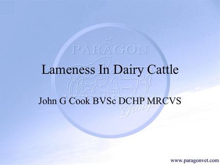 Lameness In Dairy Cattle