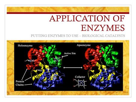 APPLICATION OF ENZYMES