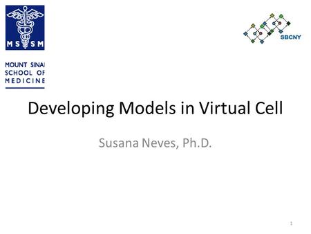 Developing Models in Virtual Cell Susana Neves, Ph.D. 1.