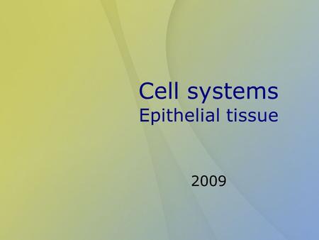 Cell systems Epithelial tissue