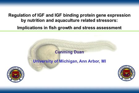 Regulation of IGF and IGF binding protein gene expression by nutrition and aquaculture related stressors: Implications in fish growth and stress assessment.