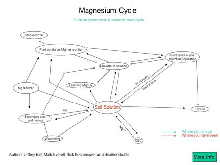 Plant uptake as Mg 2+ at root tip Crop removal Plant residue and Microbial population Mineralization Immobilization Erosion CEC Leaching MgSO 4 Chelates.