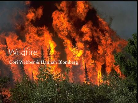 Wildfire Cori Webber & Hannah Blomberg. Definition of Wildfire A Wildfire is “a sweeping and destructive conflagration especially in a wilderness or a.