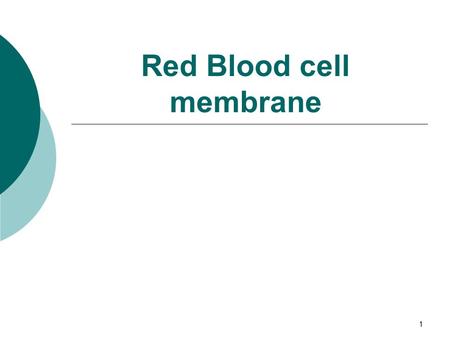 Red Blood cell membrane