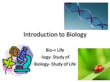 Introduction to Biology