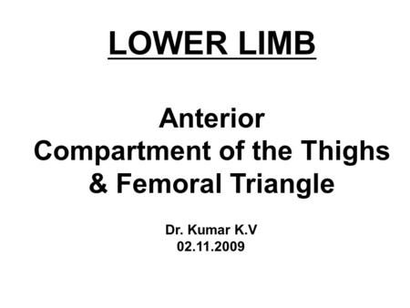 LOWER LIMB Anterior Compartment of the Thighs & Femoral Triangle