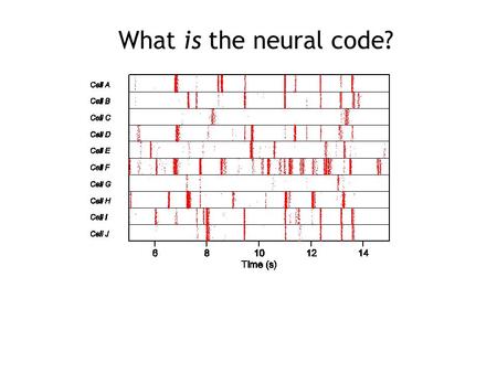 What is the neural code?. Alan Litke, UCSD What is the neural code?