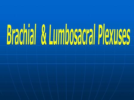 Brachial & Lumbosacral Plexuses