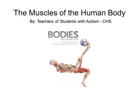 The Muscles of the Human Body By: Teachers of Students with Autism - CHS.