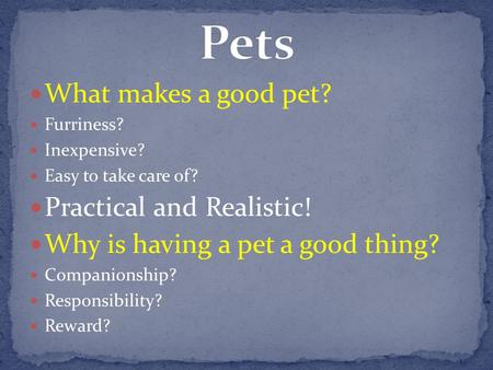 What makes a good pet? Furriness? Inexpensive? Easy to take care of? Practical and Realistic! Why is having a pet a good thing? Companionship? Responsibility?