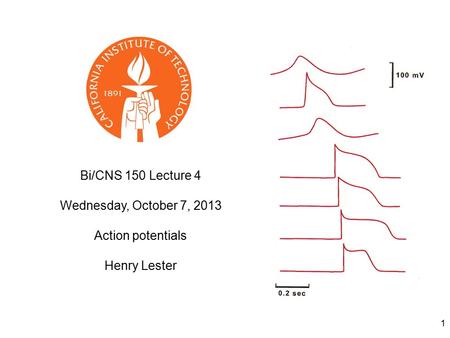 1 Bi/CNS 150 Lecture 4 Wednesday, October 7, 2013 Action potentials Henry Lester.