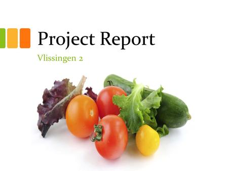 Project Report Vlissingen 2. Acculturation Objectives Help new students to deal with the Netherlands and the Dutch Language. Help students to obtain the.