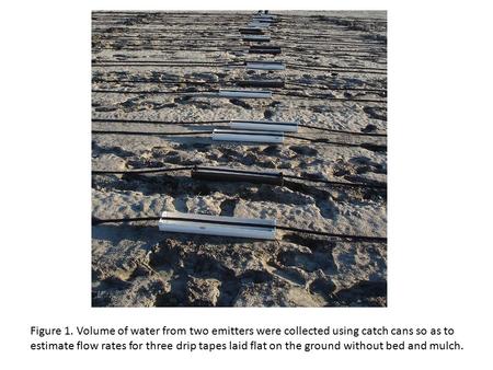 Figure 1. Volume of water from two emitters were collected using catch cans so as to estimate flow rates for three drip tapes laid flat on the ground without.