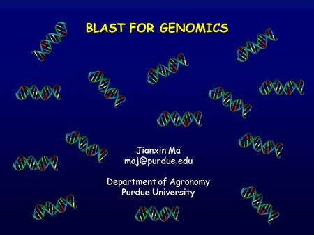 BLAST FOR GENOMICS BLAST FOR GENOMICS Jianxin Ma Department of Agronomy Purdue University.