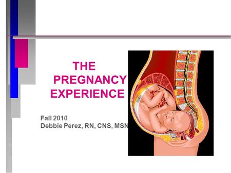 THE PREGNANCY EXPERIENCE Fall 2010 Debbie Perez, RN, CNS, MSN.