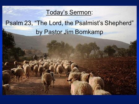 Today’s Sermon: Psalm 23, “The Lord, the Psalmist’s Shepherd” by Pastor Jim Bomkamp.