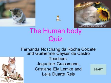 The Human body Quiz Fernanda Noschang da Rocha Colcete and Guilherme Cayser de Castro Teachers: Jaqueline Grassmann, Cristiane Ely Lemke and Leila Duarte.