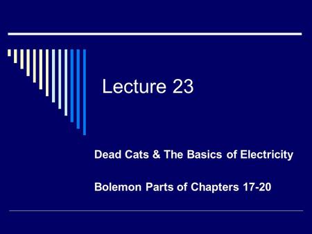 Lecture 23 Dead Cats & The Basics of Electricity Bolemon Parts of Chapters 17-20.