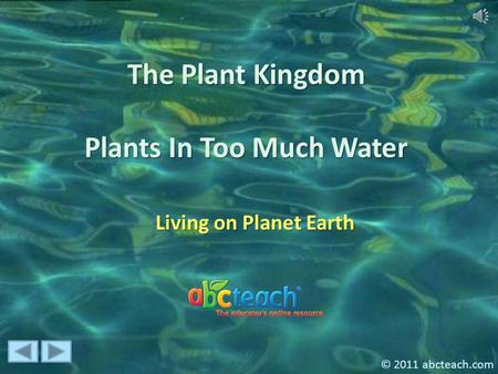 The Plant Kingdom Plants In Too Much Water Living on Planet Earth © 2011 abcteach.com.