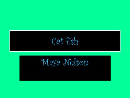 Cat fish Maya Nelson.