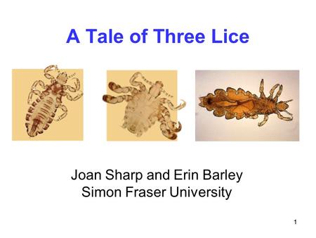 A Tale of Three Lice Joan Sharp and Erin Barley