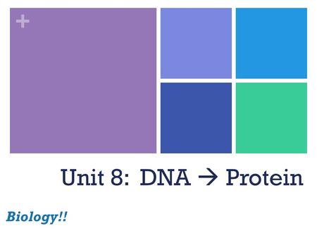 + Unit 8: DNA  Protein Biology!!. + Front of class Door.