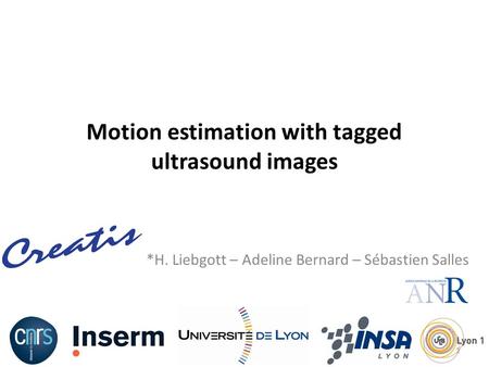 Motion estimation with tagged ultrasound images