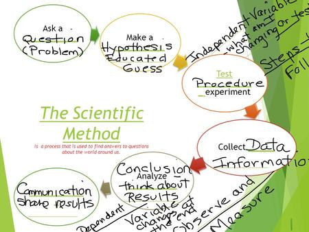 Ask a ___________ ___________ Make a ___________ ___________ Test ____________ _ Test ____________ _ experiment Collect ____________ Analyze ___________.