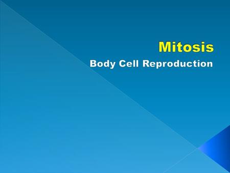 2 2 Cell Cycle Cell cycle- The sequence of stages through which a cell passes between one cell division and the next. (The cycle begin growth and division.