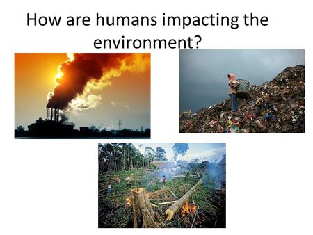 How are humans impacting the environment?. The ability of ecosystems to provide these services depends on BIOLOGICAL DIVERSITY OR ______________ = a measure.