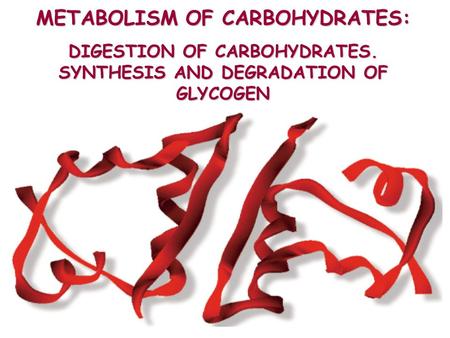 METABOLISM OF CARBOHYDRATES: DIGESTION OF CARBOHYDRATES. SYNTHESIS AND DEGRADATION OF GLYCOGEN.