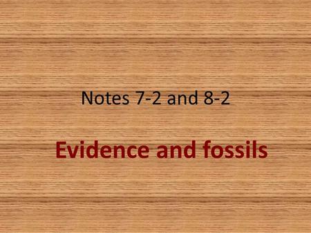 Notes 7-2 and 8-2 Evidence and fossils. Evidence of evolution Similar body structures Patterns of early development Molecular structure Fossils.