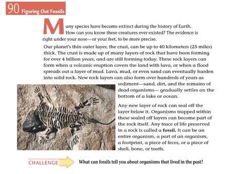 KEY VOCABULARY Evidence Something that is helpful in forming a conclusion and is supported by data. Extinct A species in which the last member dies without.