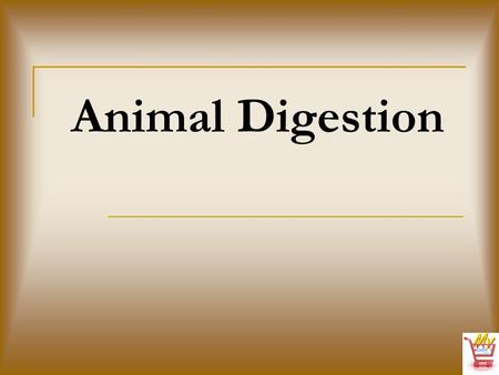 Animal Digestion.