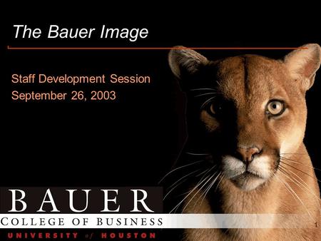 1 The Bauer Image Staff Development Session September 26, 2003.