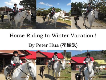 Horse Riding In Winter Vacation ! By Peter Hua ( 花經武 )