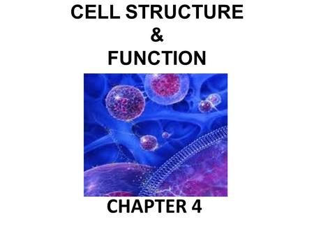 CELL STRUCTURE & FUNCTION CHAPTER 4. CELLS ALL LIVING THINGS ARE MADE UP OF ONE OR MORE CELLS A CELL IS THE SMALLEST UNIT THAT CAN CARRY ON ALL OF THE.