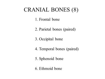 CRANIAL BONES (8) 2. Parietal bones (paired) 3. Occipital bone