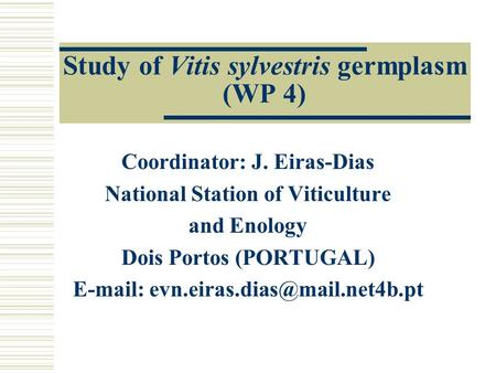 Study of Vitis sylvestris germplasm (WP 4) Coordinator: J. Eiras-Dias National Station of Viticulture and Enology Dois Portos (PORTUGAL)