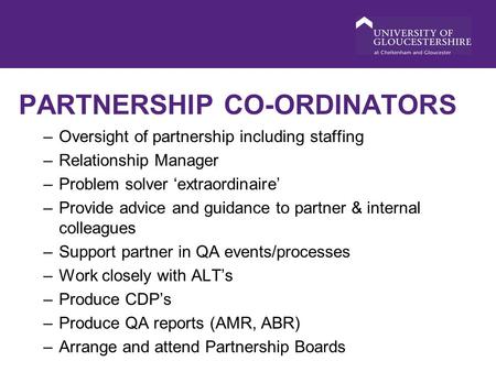 PARTNERSHIP CO-ORDINATORS –Oversight of partnership including staffing –Relationship Manager –Problem solver ‘extraordinaire’ –Provide advice and guidance.